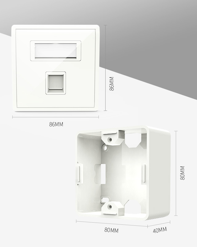 Network Wall Plate