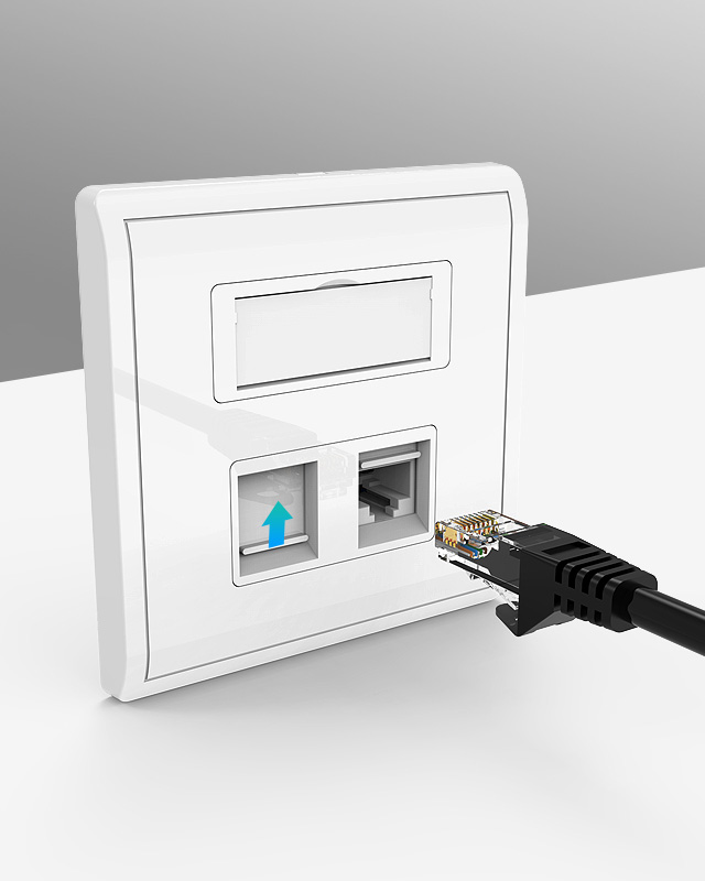 Network Wall Plate