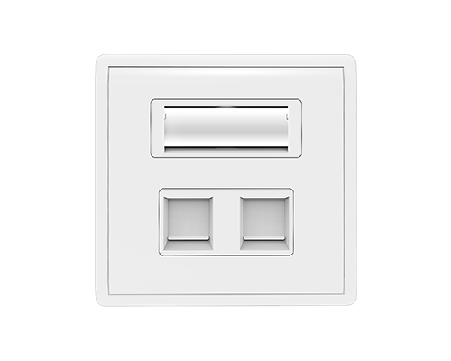 Dual Port-Network RJ45 Wall Faceplate