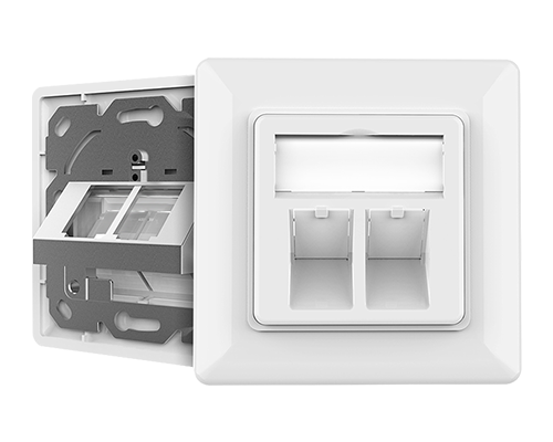 Dual Port-Network RJ45 Faceplate