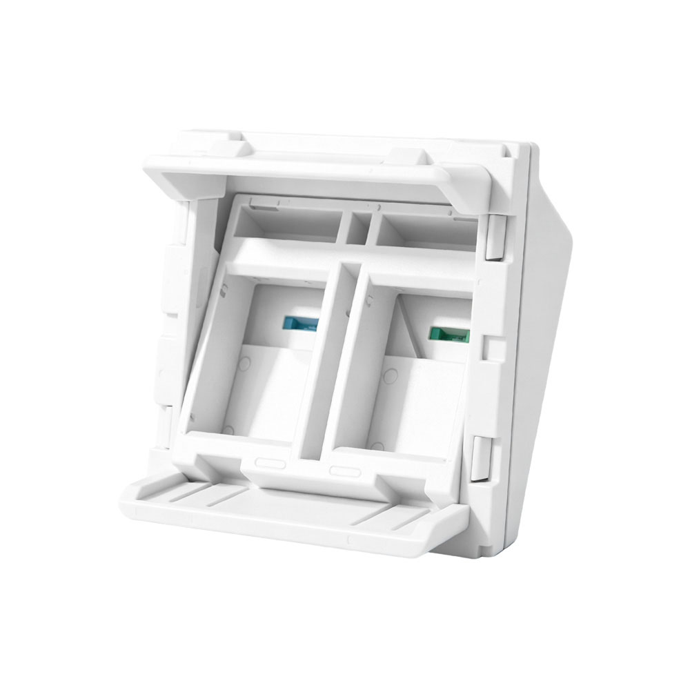 45×45mm Dual-Port Angled Modular Data Insert
